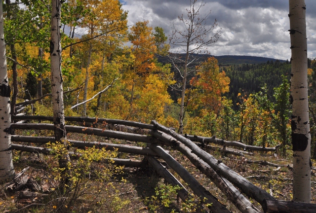 Big Al Trail with fall colors